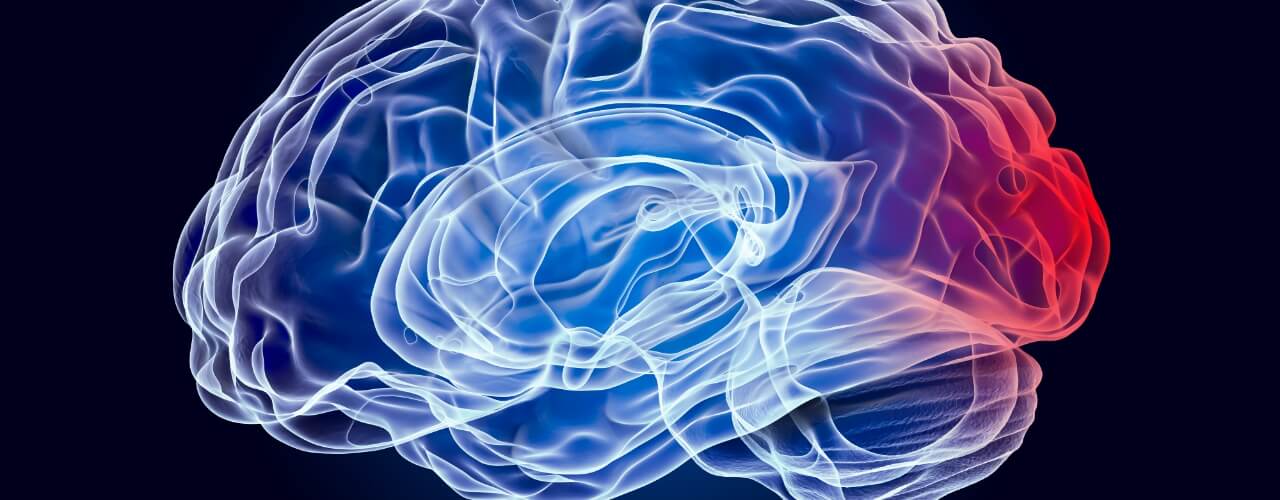A Holistic Approach to Whiplash and Concussion Recovery